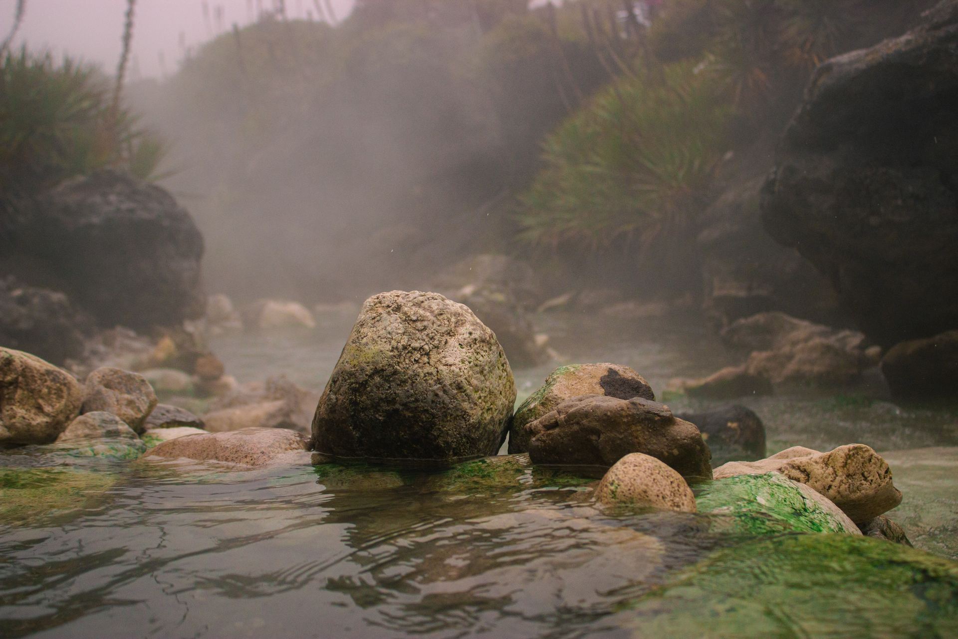 Termales de Nariño, Antioquia